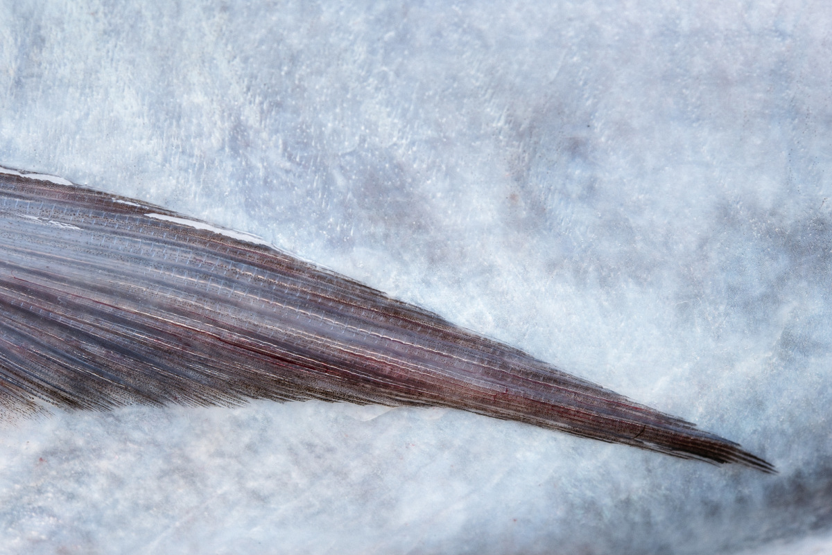 Find a Photographer-21.jpg